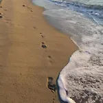 T2 Confortable Avec Climatisation à 100 M De La - 4hous34